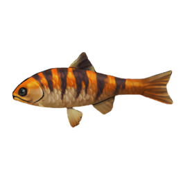 Tiger Trout