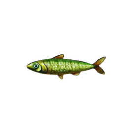Sleek Sardines