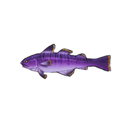 Majestic Cod