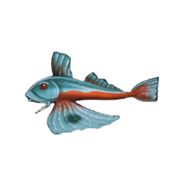 Bigeye Gurnard