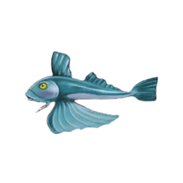 Blackfin Gurnard