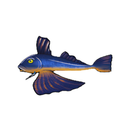 Dusky Gurnard