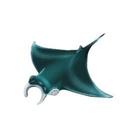 Common Ray