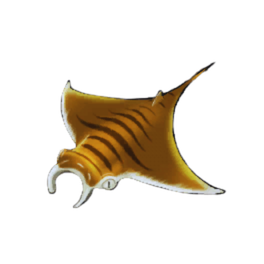 Tiger Ray