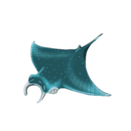 Broad Ray
