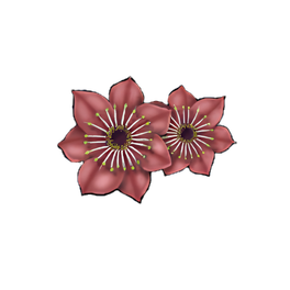 Scarlet Wallplant