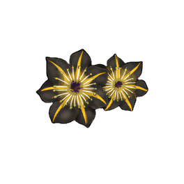 Midnight Wallplant