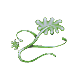 Green Kelp