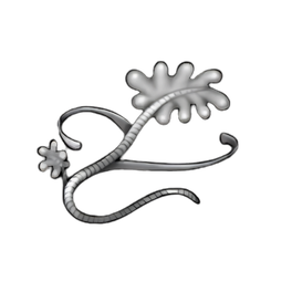 Silver Kelp