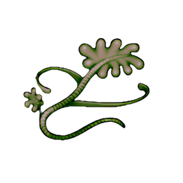 Kombu Kelp