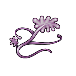 Violet Tide Kelp