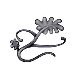 Kraken Kelp