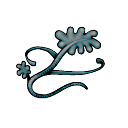 Deep Sea Kelp