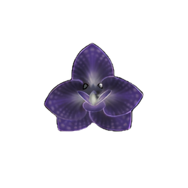 Purple Orchid