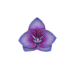 Tiered Orchid