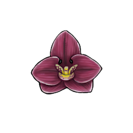 Boat Orchid