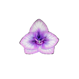 Burstbloom Orchid
