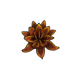 Caramel Water Lily