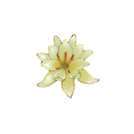 Copper Water Lily