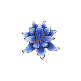 Snowball Water Lily
