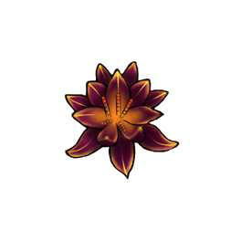 Dragon's Breath Water Lily