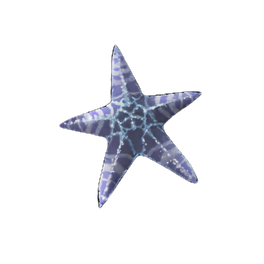 Wrinkled Starfish