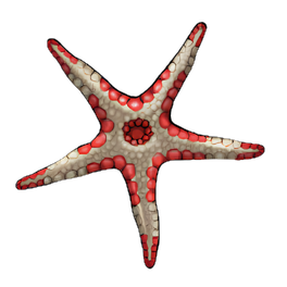 Bloody Henry Starfish