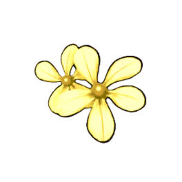 Yellow Periwinkle