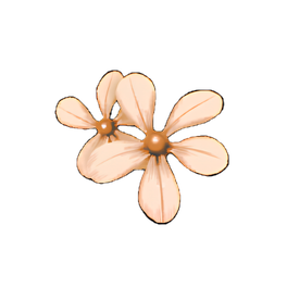 Greater Periwinkle