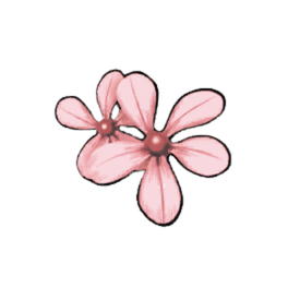 Blush Periwinkle