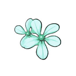 Brannof Periwinkle