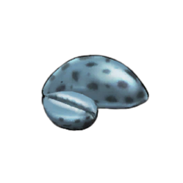 Bowl Shell