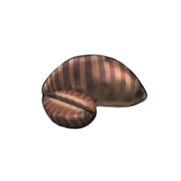 Basin Shell