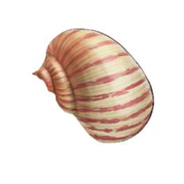 Trobwig Shell
