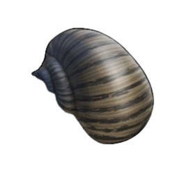 Helmet Shell