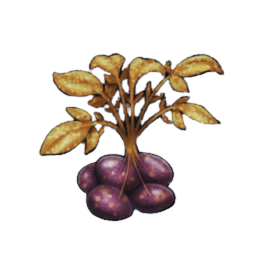 Bitterbide Potato