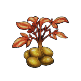 Bollbark Potato