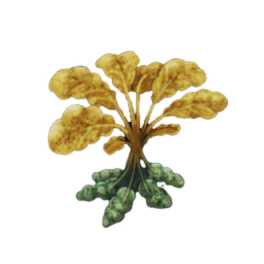 Greengrail Potato