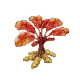 Yamitan Potato