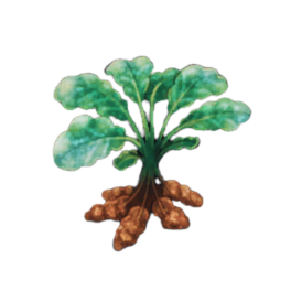 Galimeer Potato