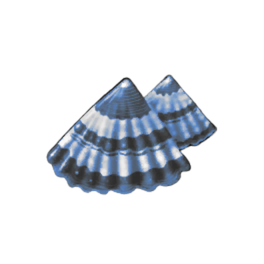 Blueridge Limpet