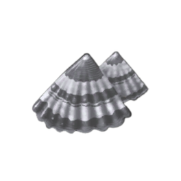 Clinchshell Limpet