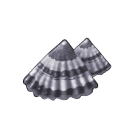 Irongrip Limpet