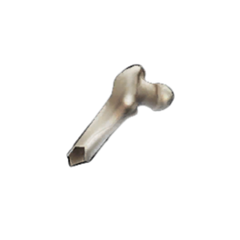 Cracked Femur Shard