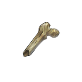 Striated Femur Shard