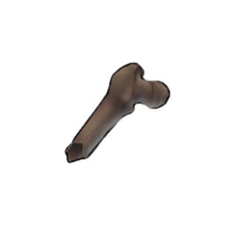 Jagged Femur Shard