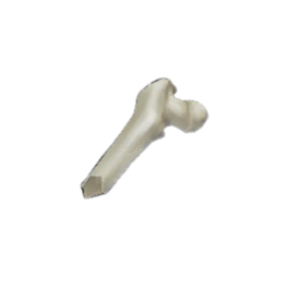 Exquisite Femur Shard