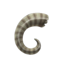 Sturdy Rams Horn