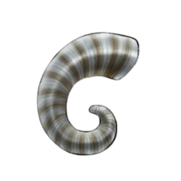 Chunky Rams Horn