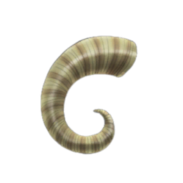 Pristine Rams Horn
